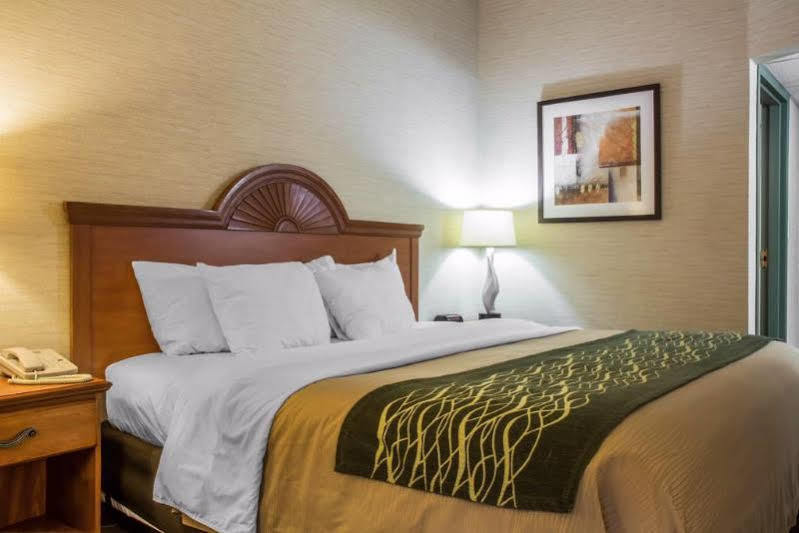 Quality Inn & Suites Мансфилд Экстерьер фото
